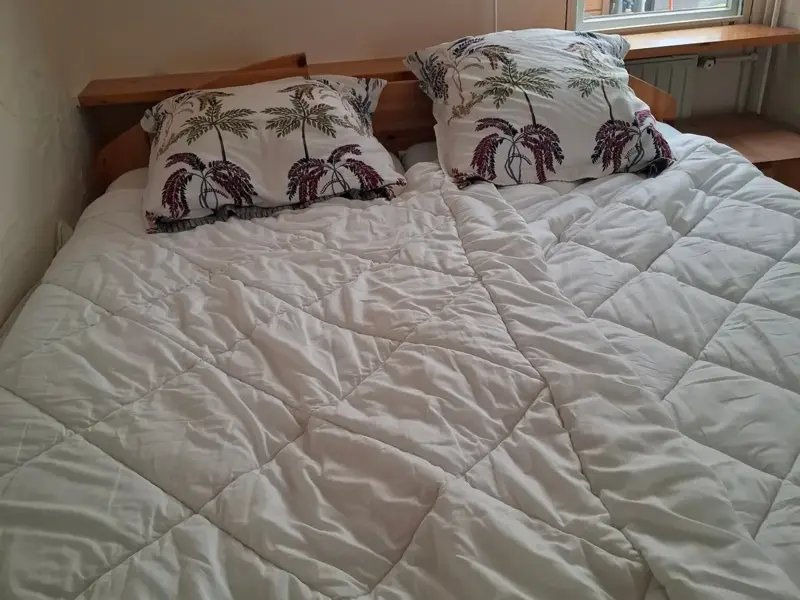 Downstairs bedroom