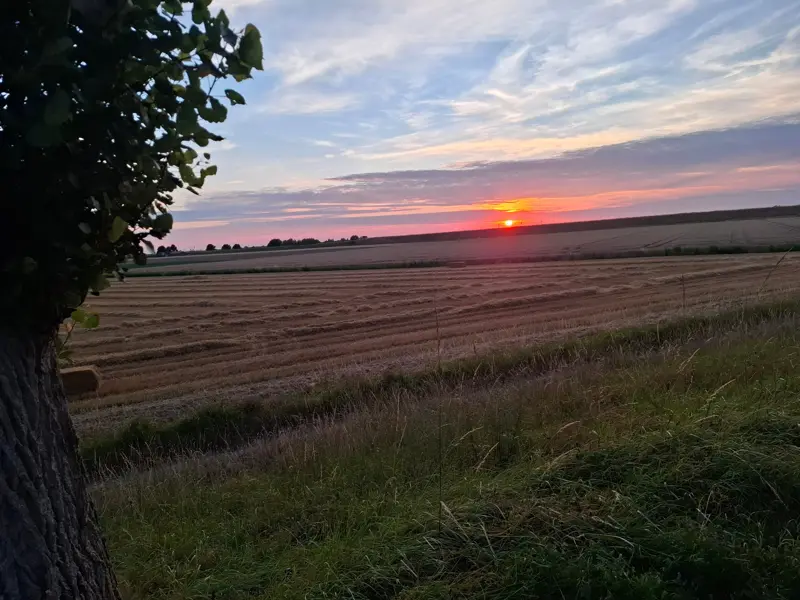 Summer evening