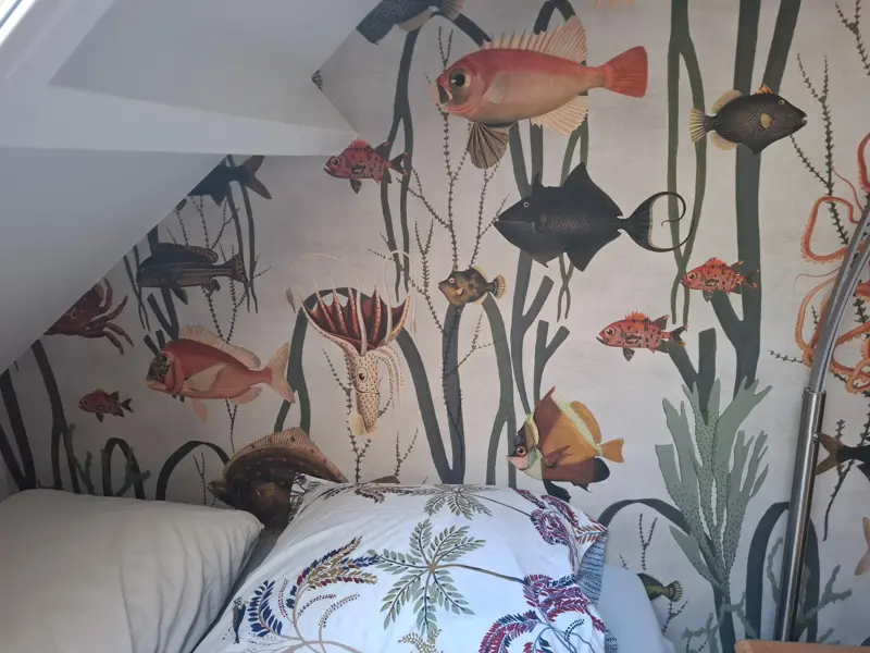 Fish bedroom