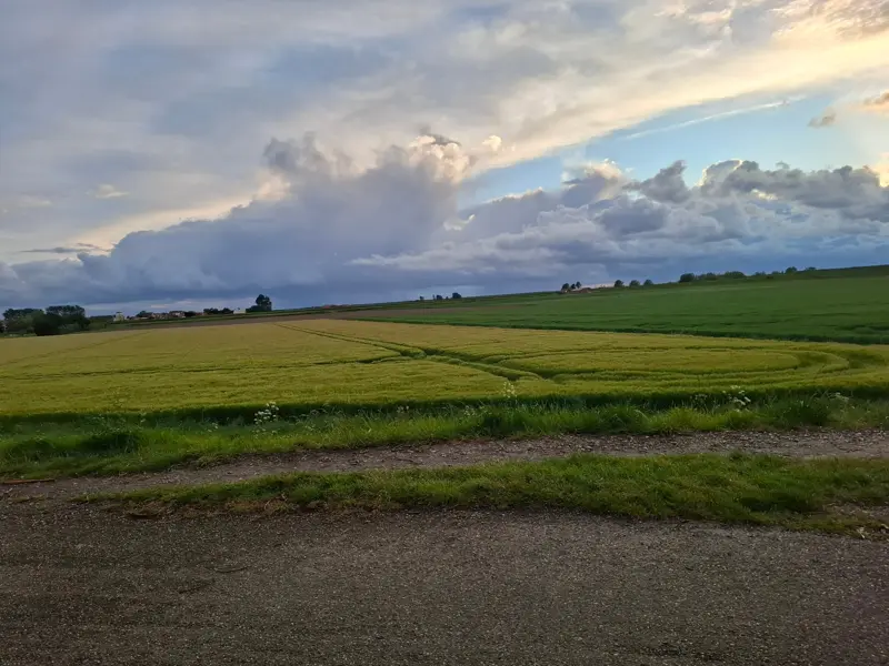 Polder light