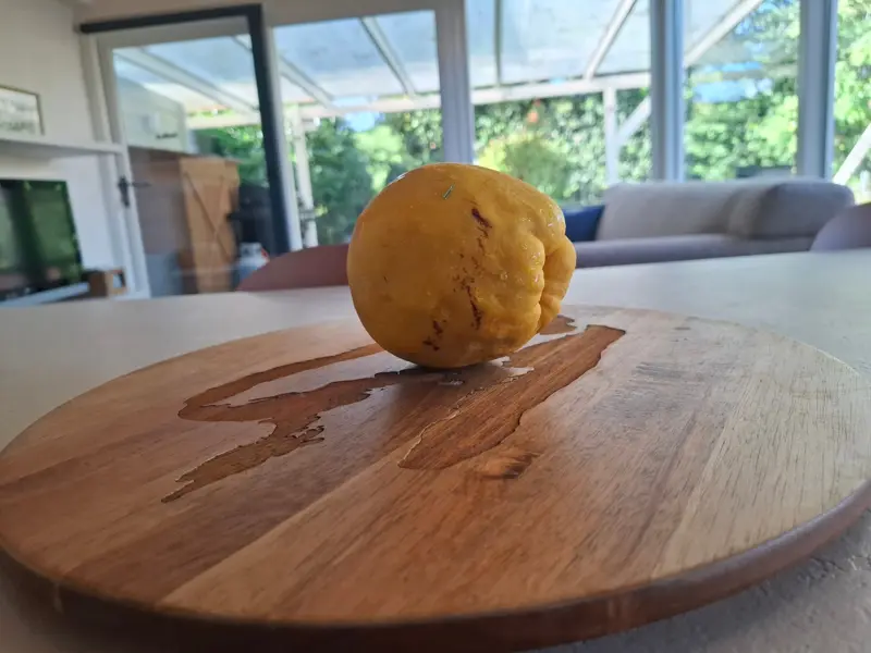 From the garden